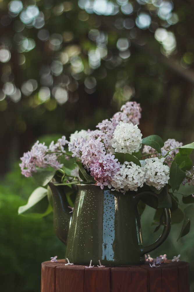 Photograph by Соболева Юлия