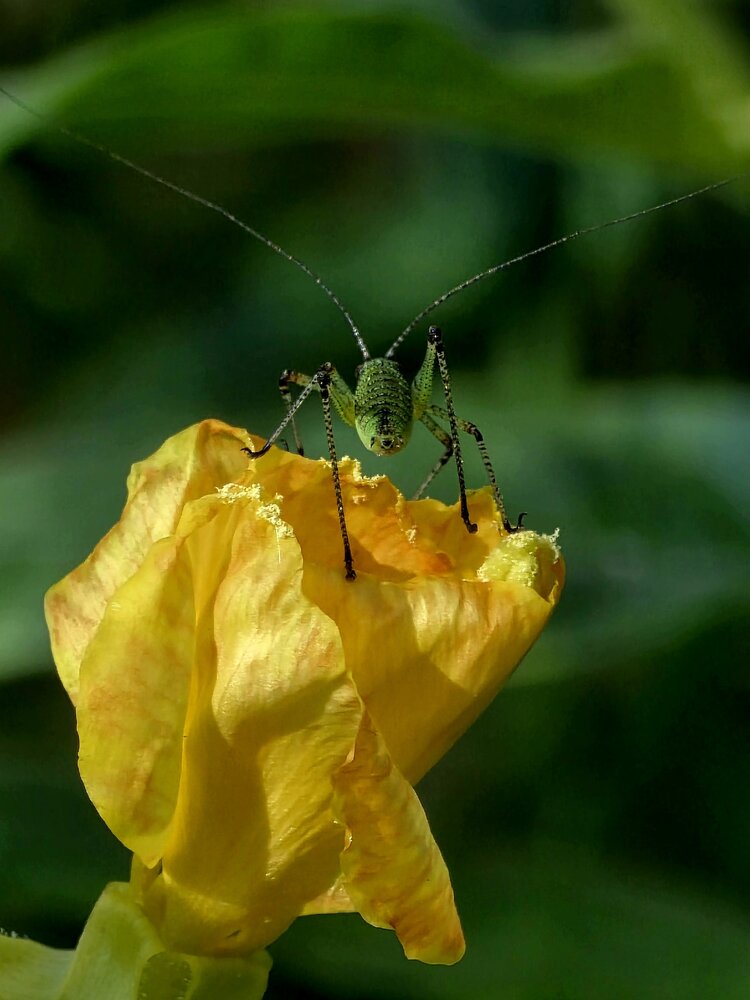 Photograph by Куделенко Оксана