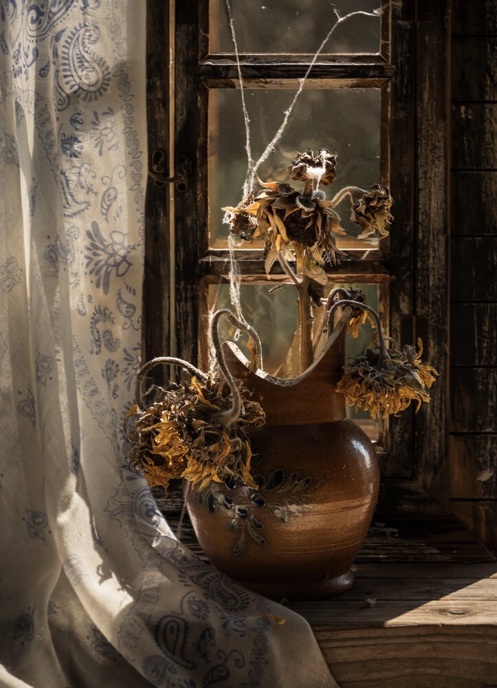 Photograph by Olga Schmidt