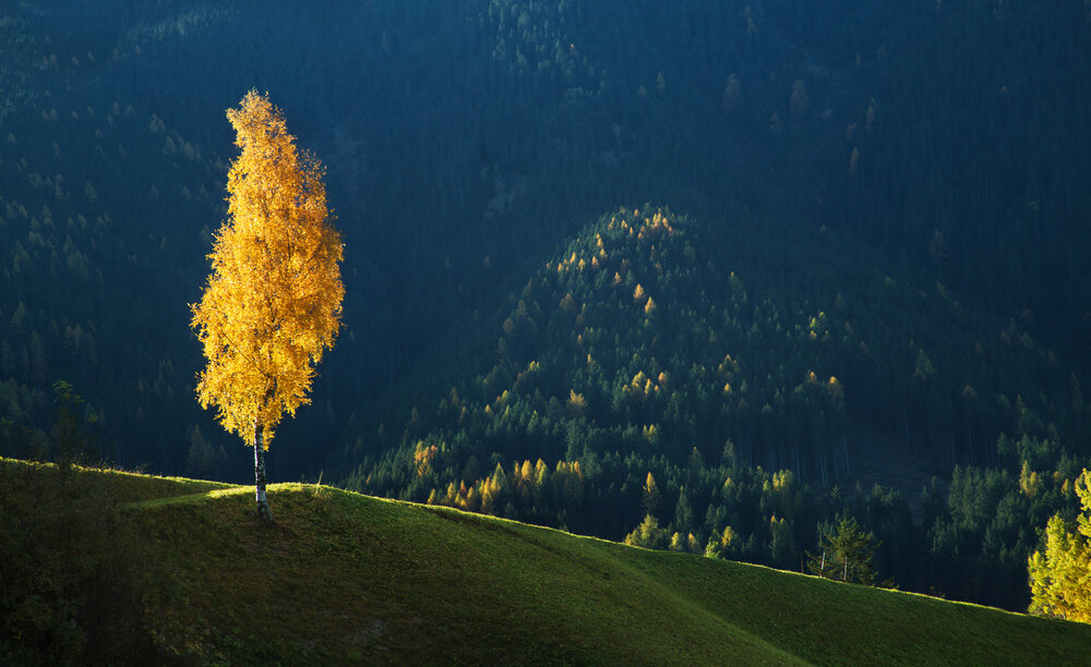 Photograph by Мурзинов Виктор