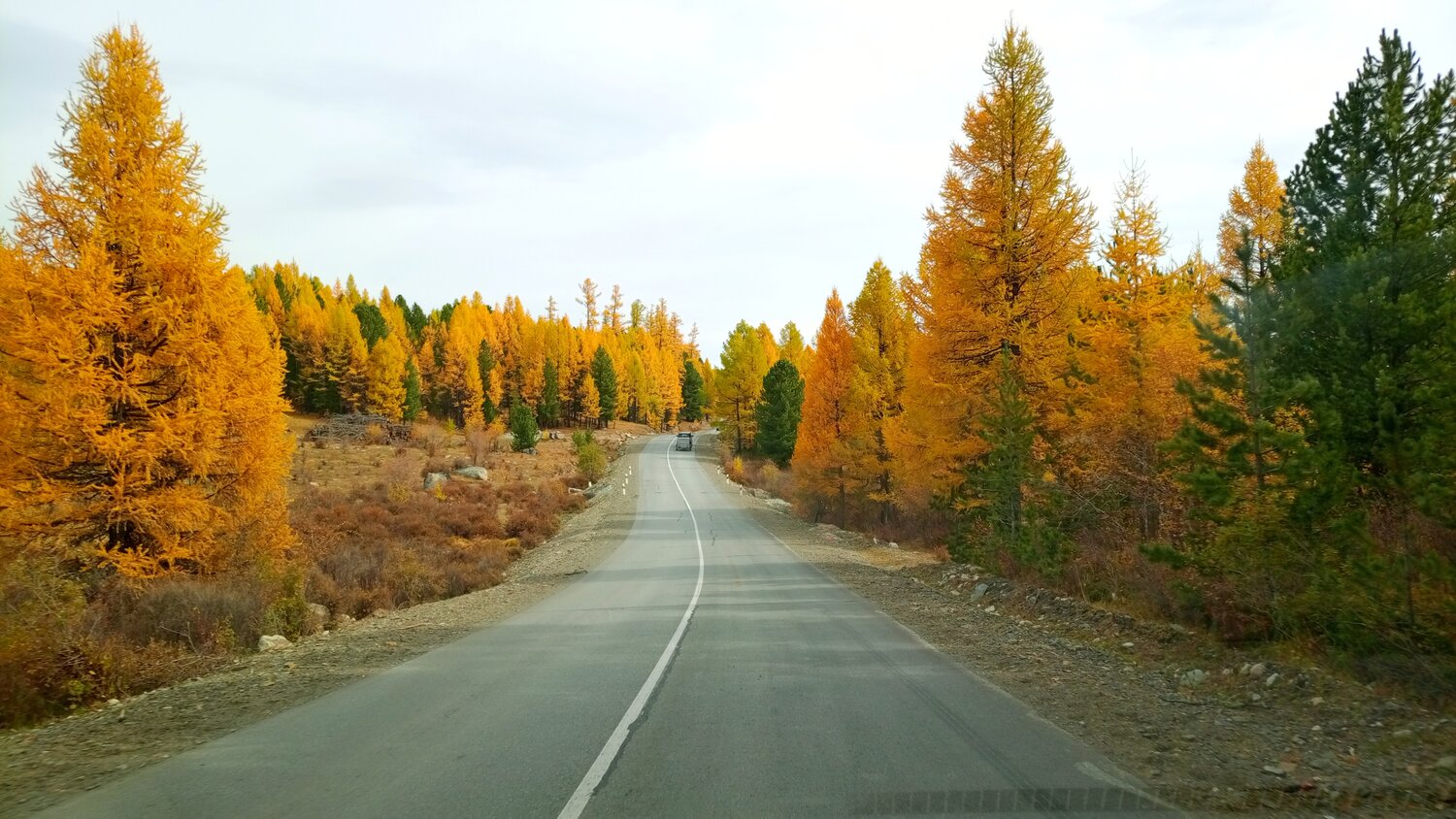 Photo #13845990