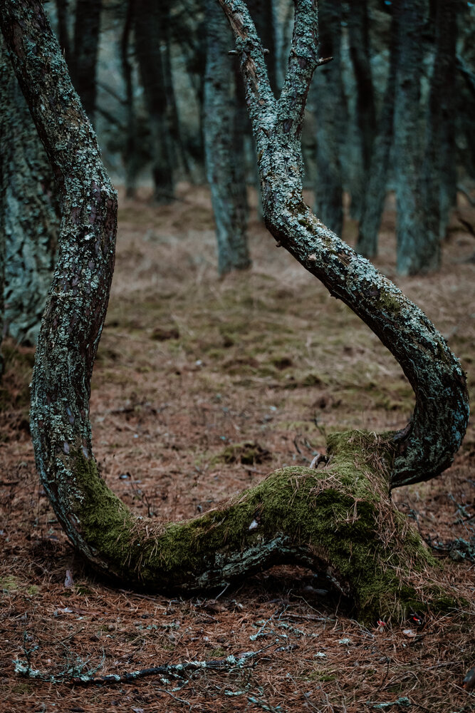 Photograph by Дмитрий Новиков