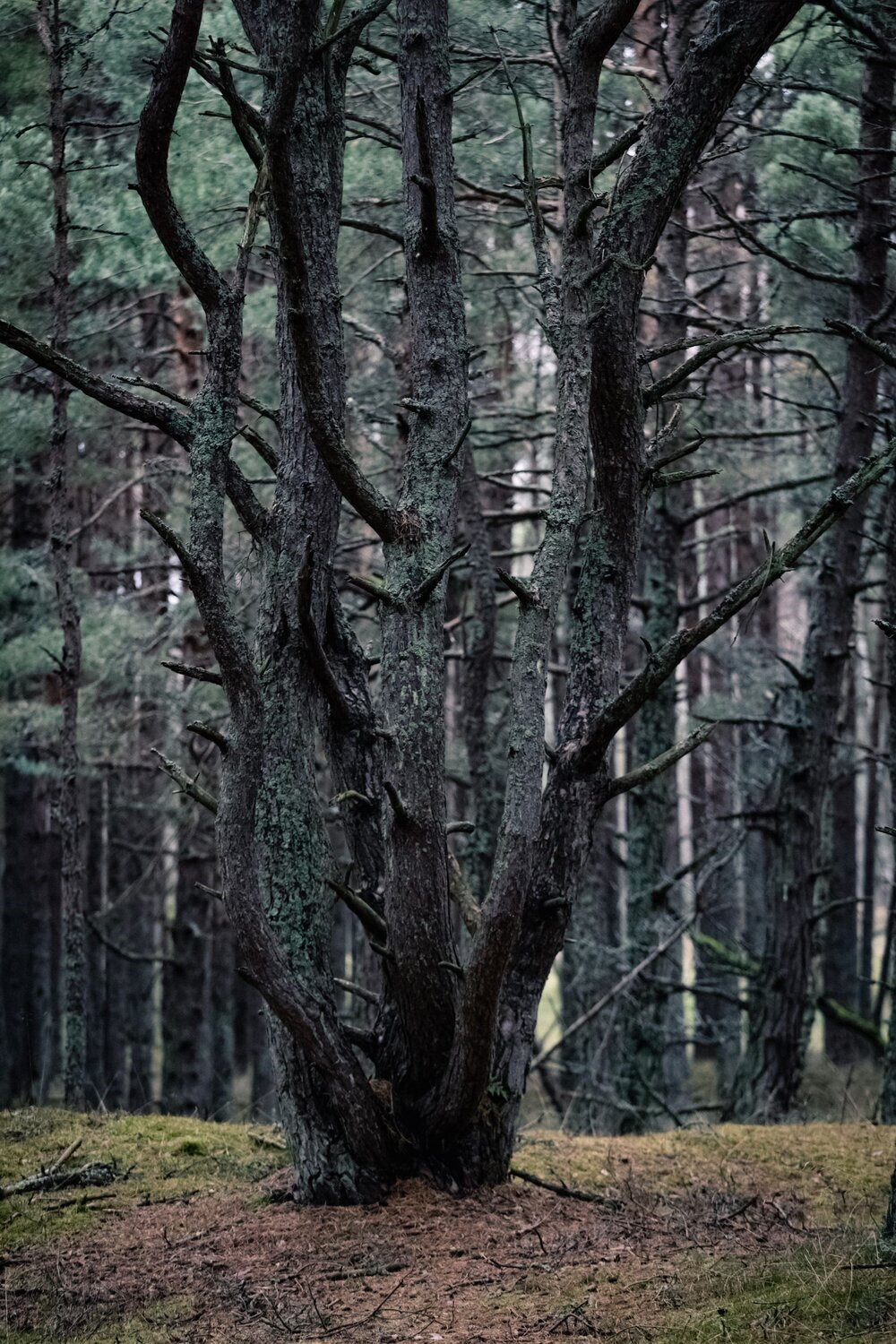 Photo #13846022