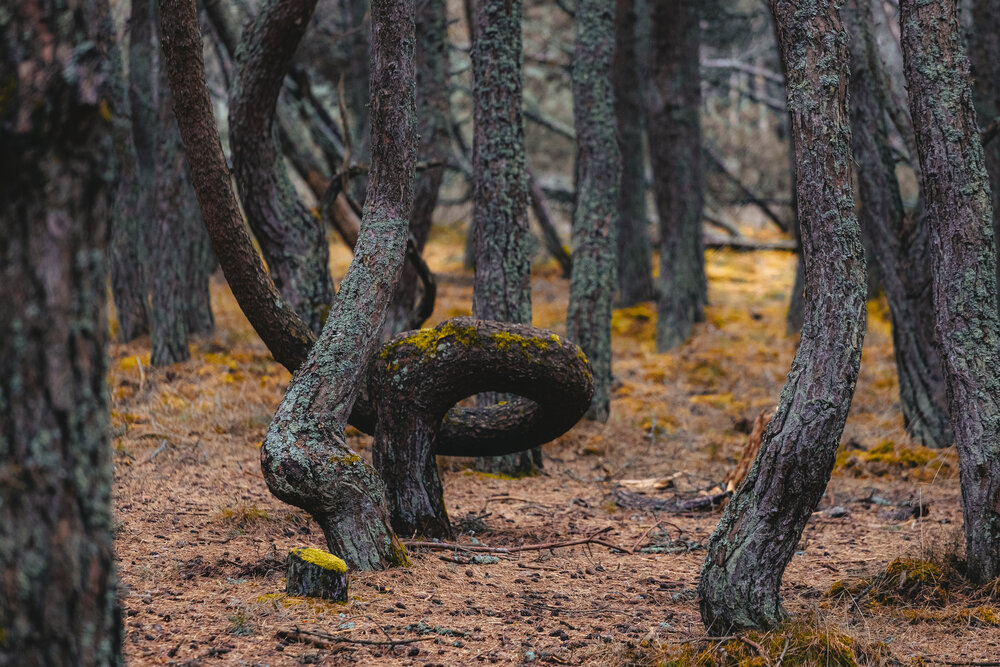 Photograph by Дмитрий Новиков