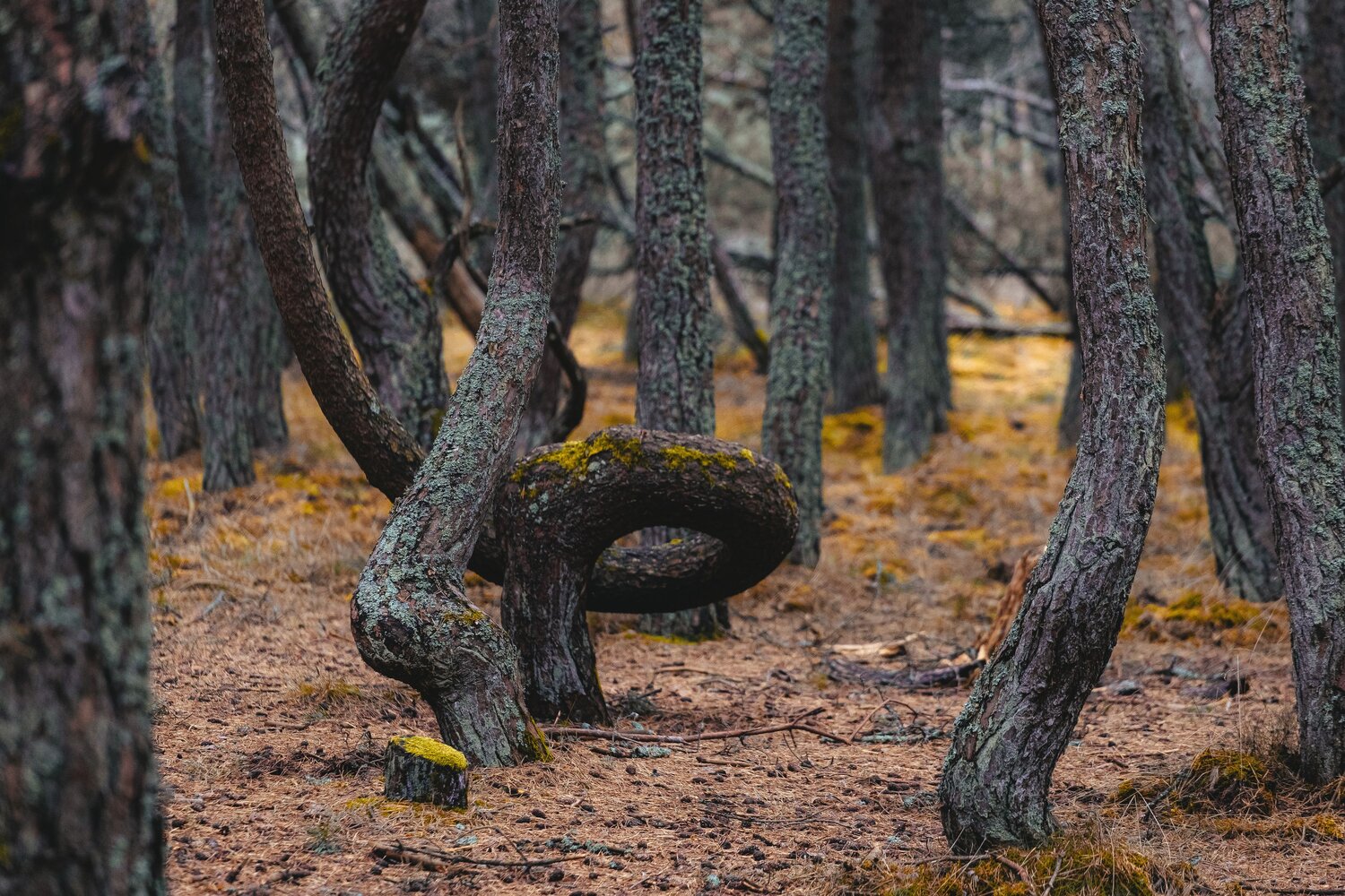 Photo #13846025