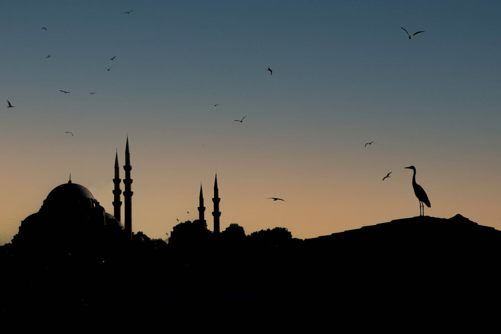 Photograph by Gülbeyaz Gencer