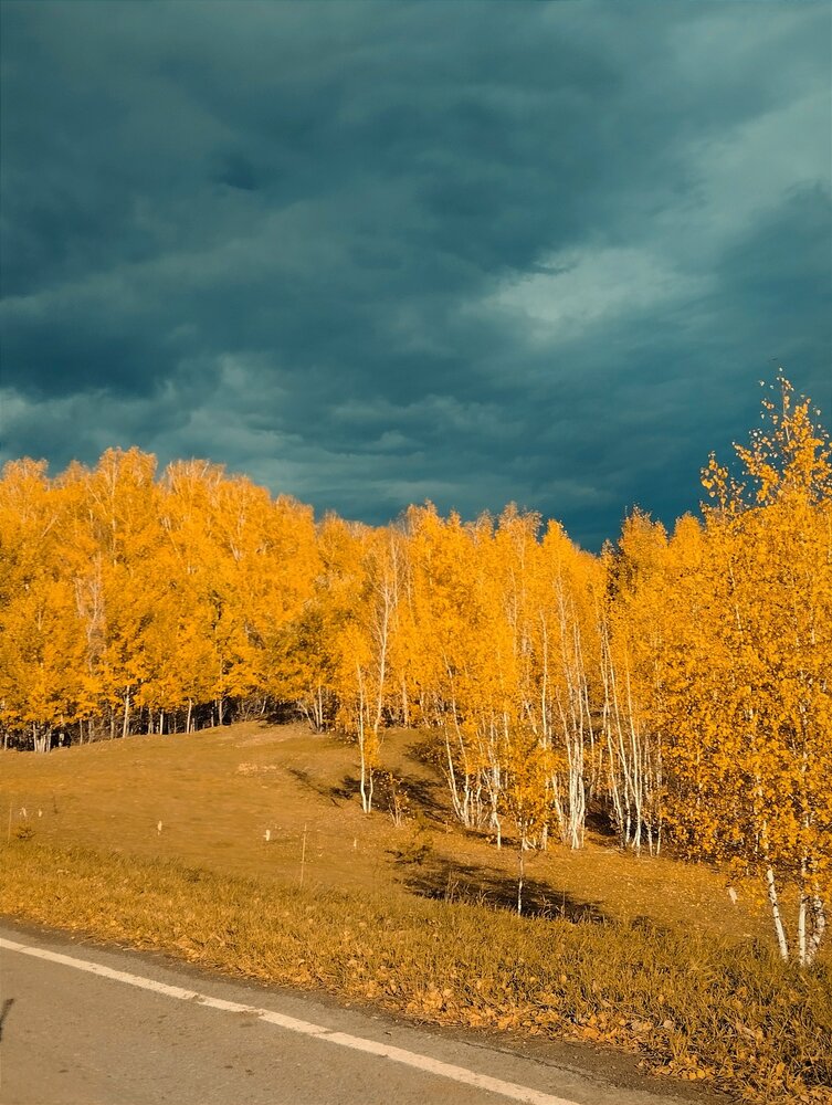 Фотография автора Сидоренко Елизавета