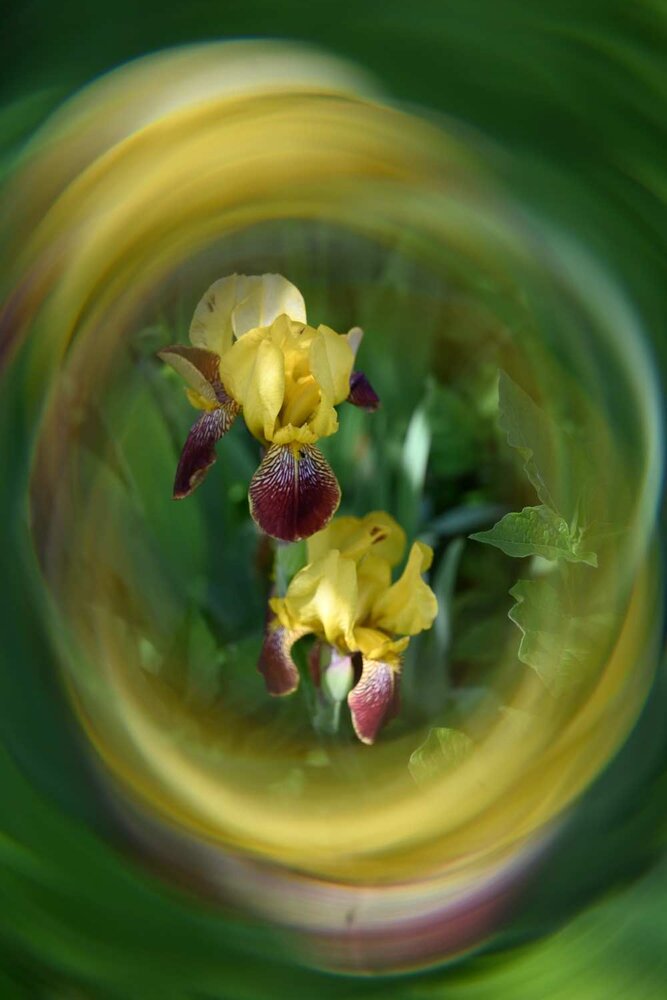 Photograph by Ксения