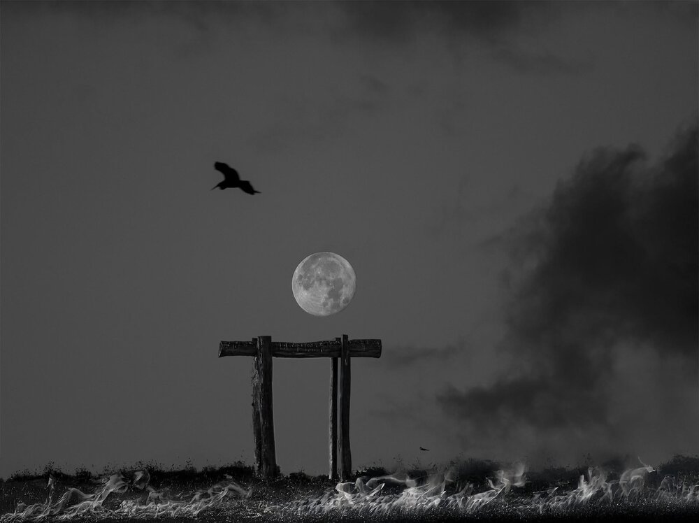 Photograph by Leonid Lan