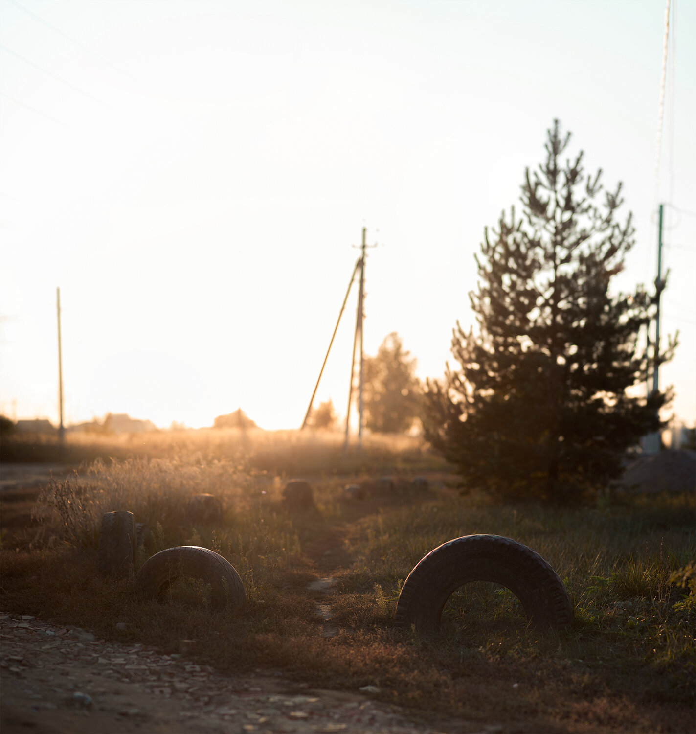 Photo #13846230