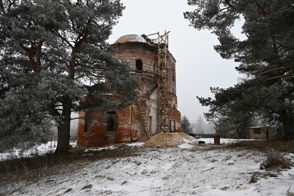 Photograph by Ксения