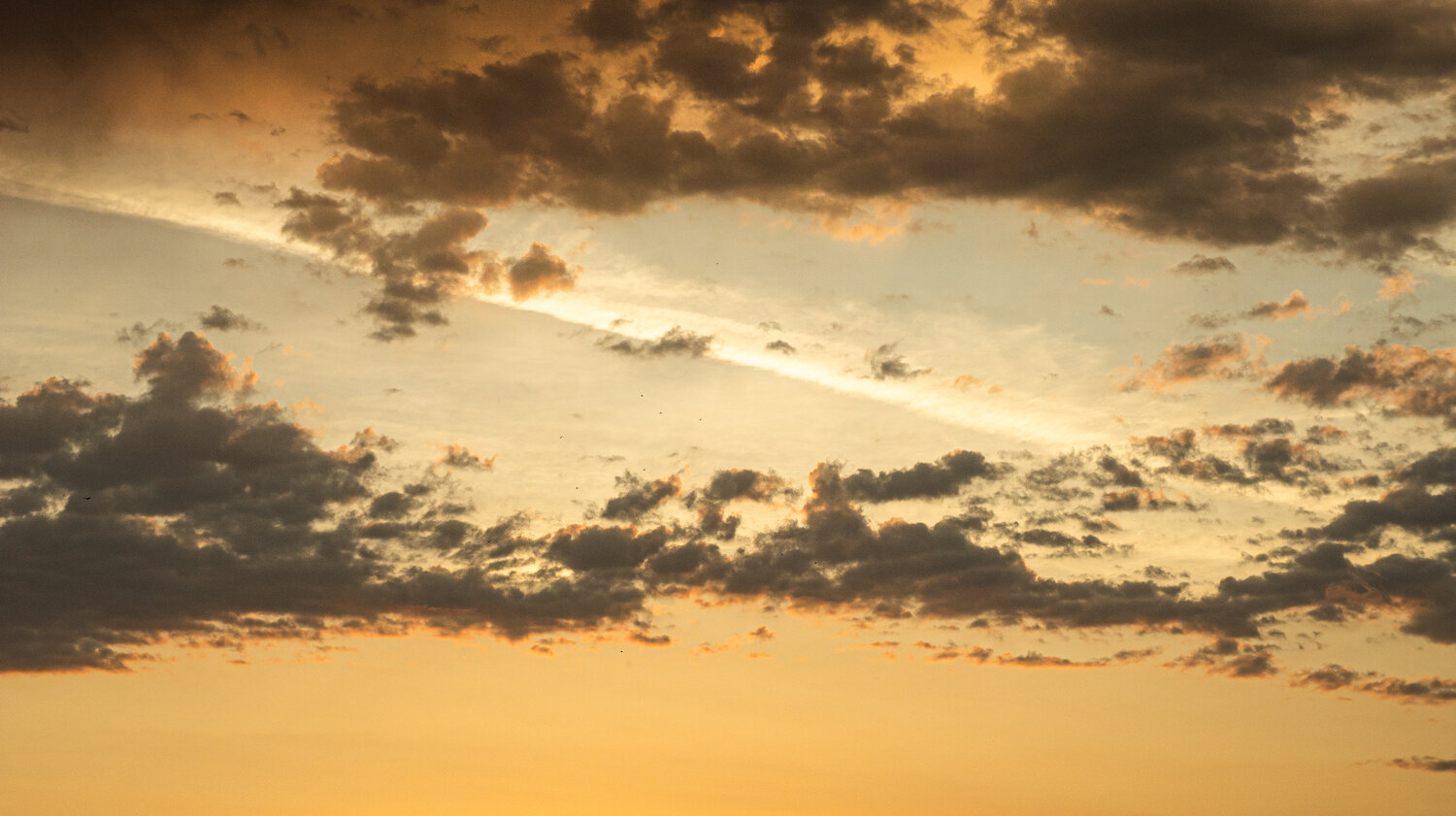 Photo #13846241