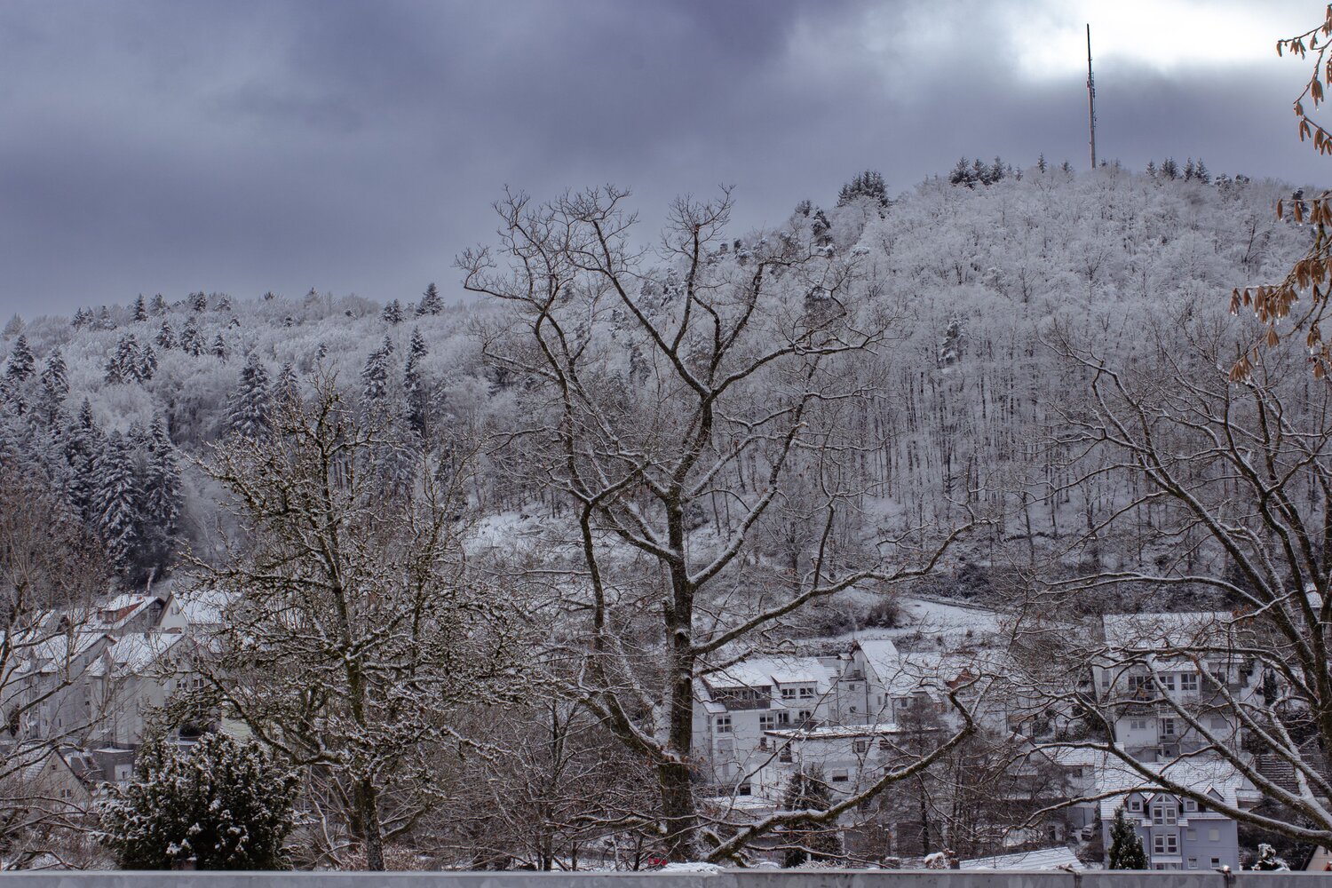 A wide horizontal outdoor landscape photograph showing a snowy winter forest with picea abies pine trees near village houses under cloudy sky