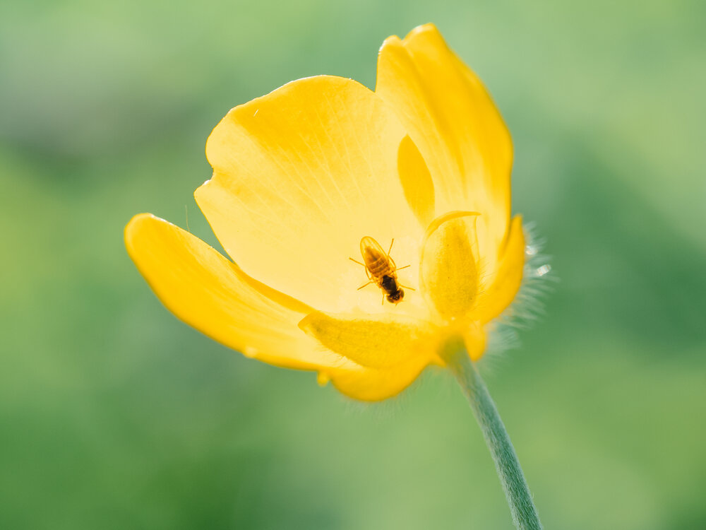 Photograph by Ирина Протченко