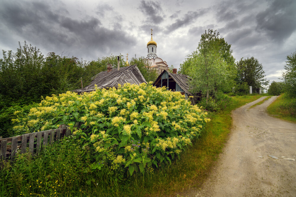 Photograph by ARTEM KORZHUKOV