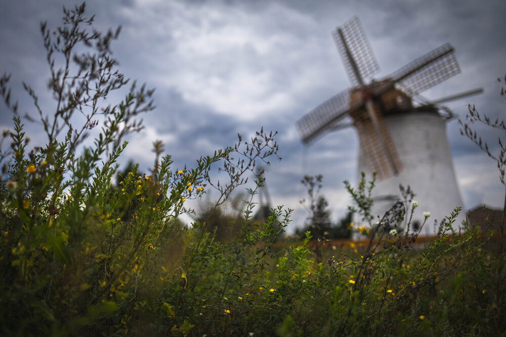 Photograph by Painterman