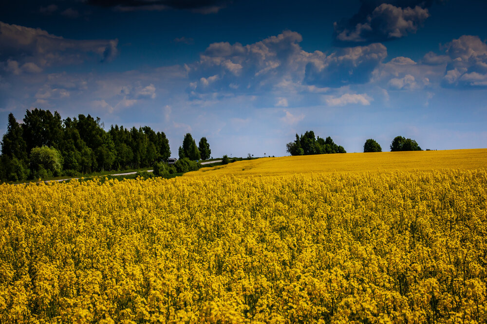 Photograph by Владислав Лопатов