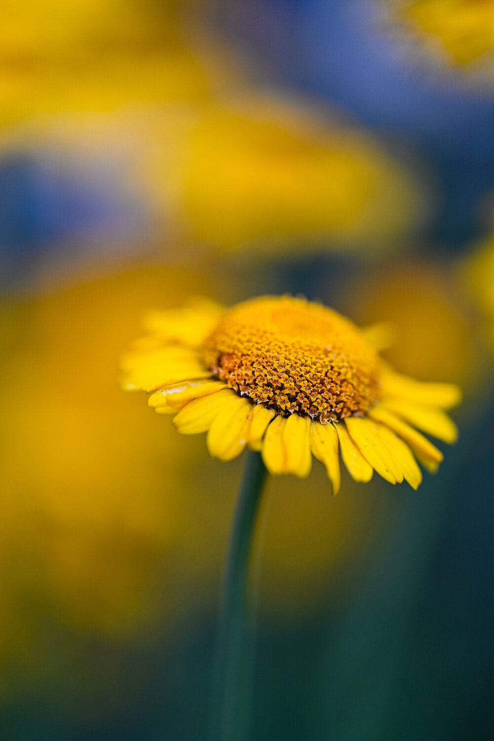 Photo #13846466