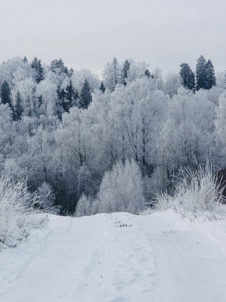 Photograph by Ляйсан Мубаракова