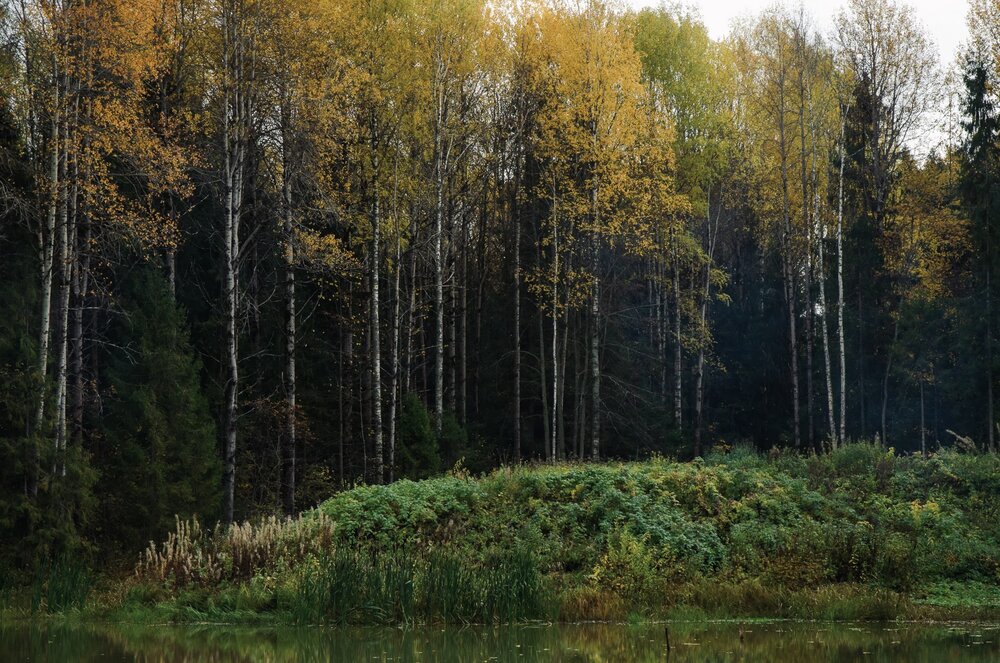 Photograph by Ляйсан Мубаракова