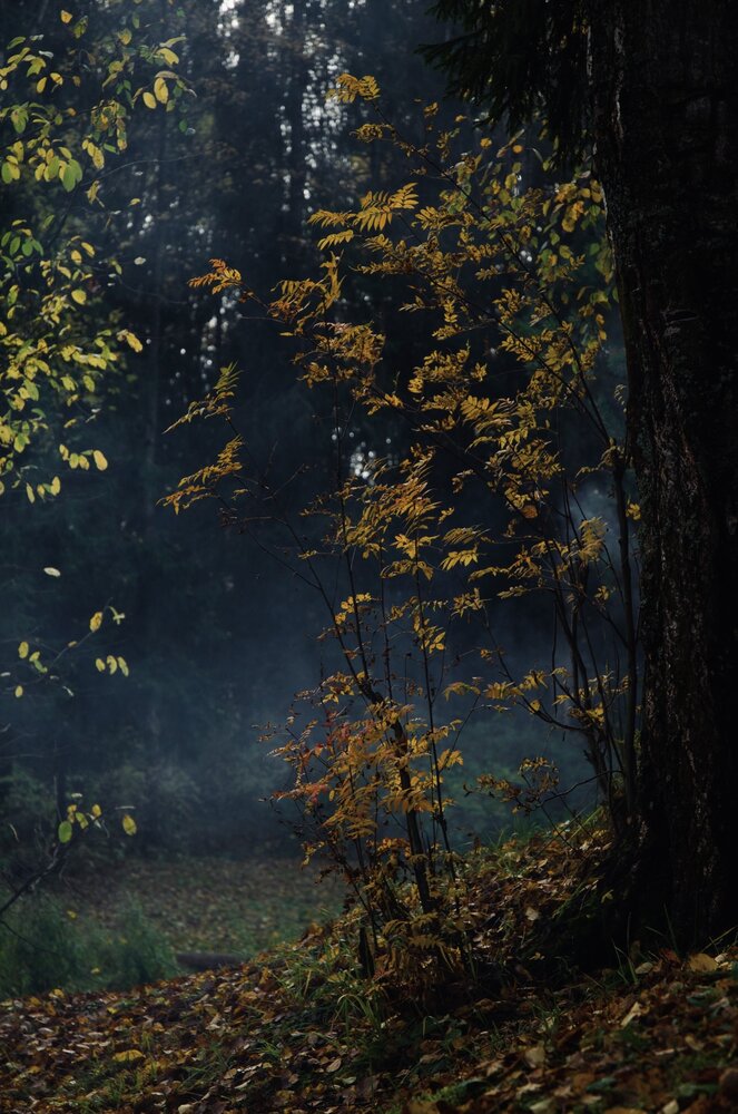 Photograph by Ляйсан Мубаракова