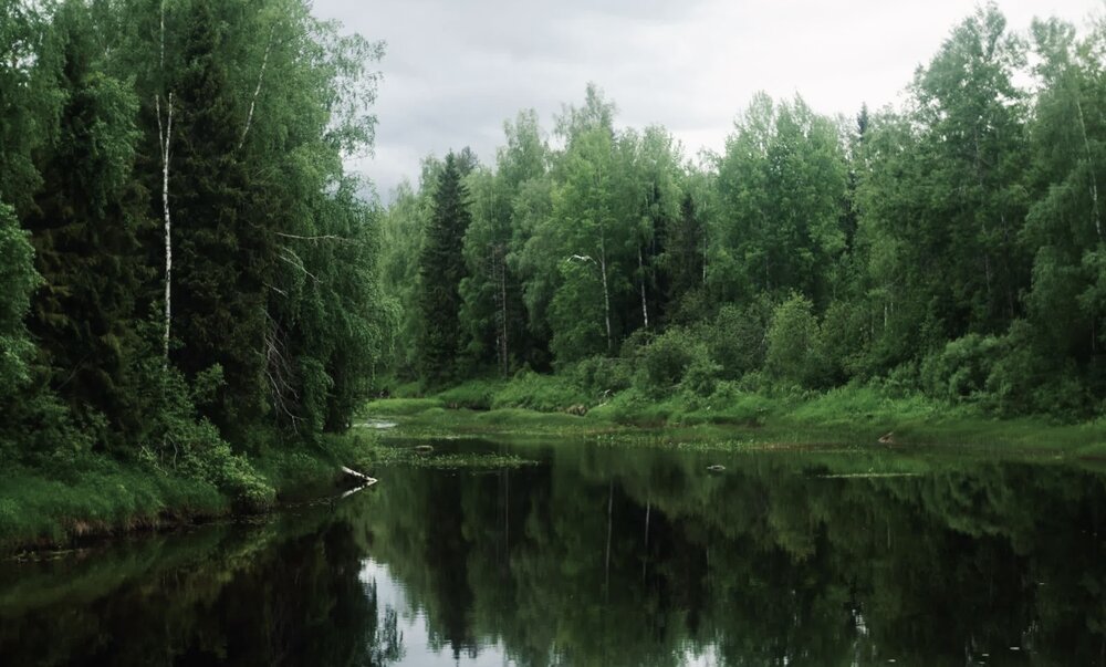 Photograph by Ляйсан Мубаракова