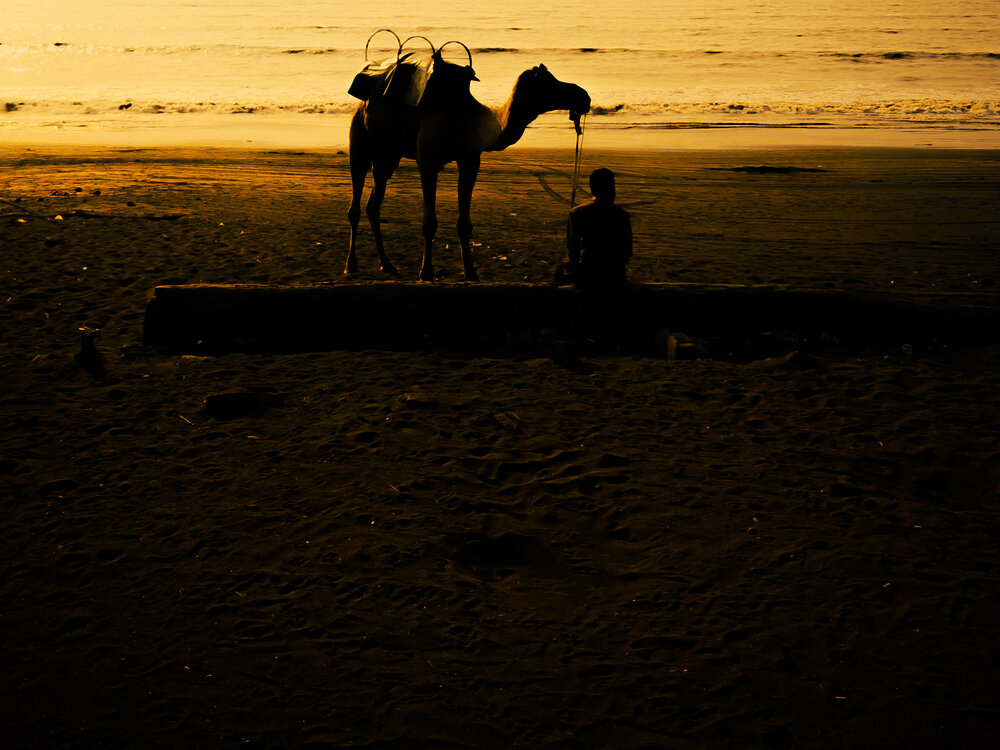 Photograph by Sadiq Seyed