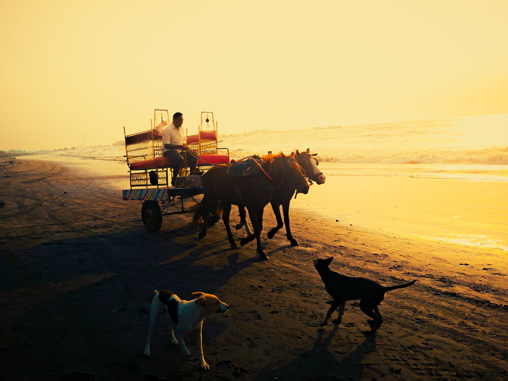 Photograph by Sadiq Seyed