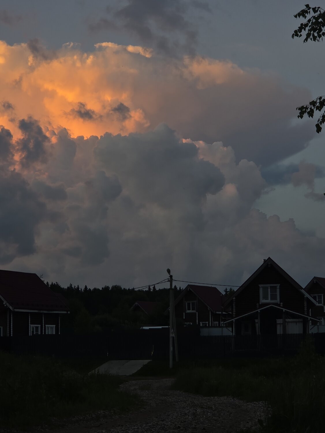 Photo #13846538