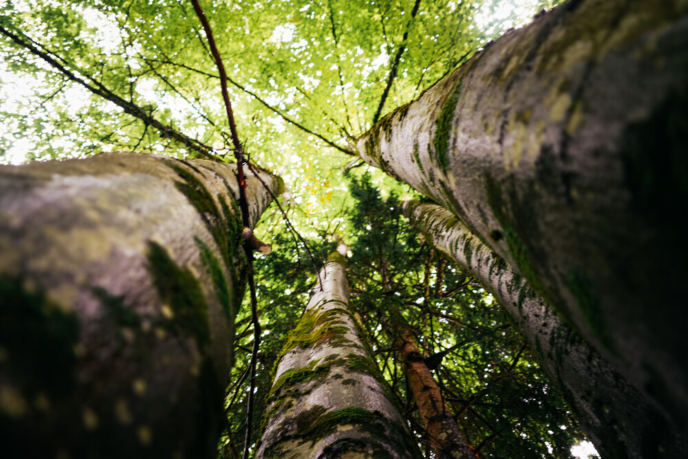 Photograph by Marcel Brenneke