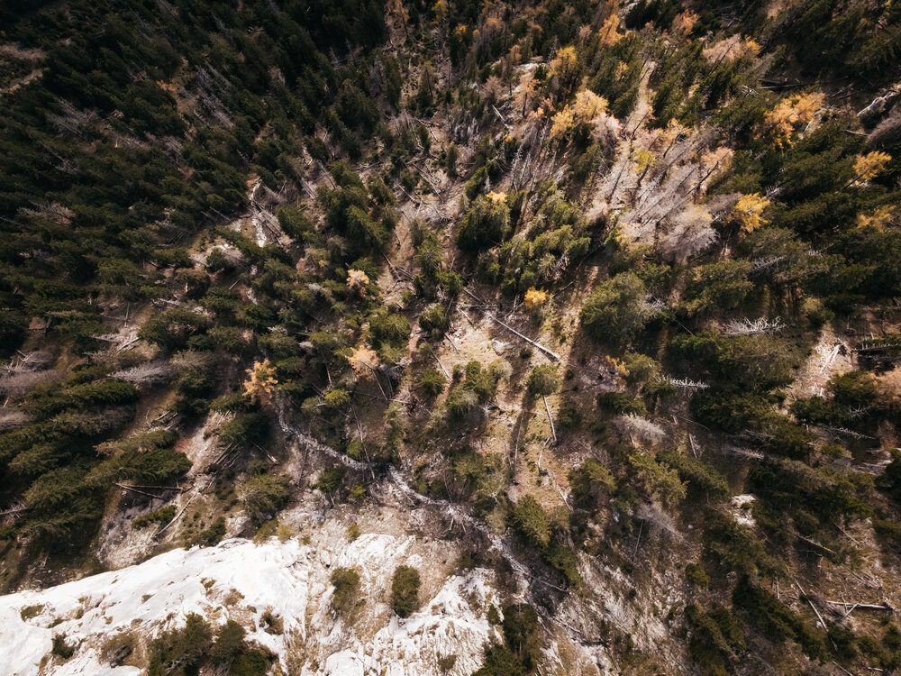 Photograph by Marcel Brenneke