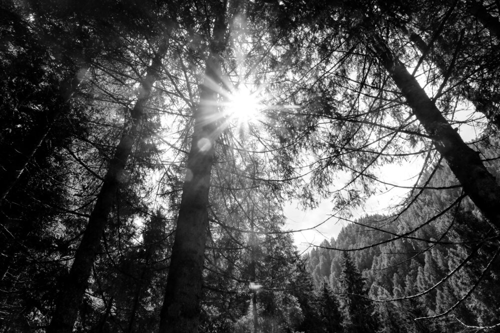 Photograph by Marcel Brenneke
