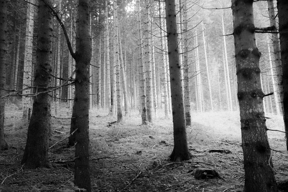 Photograph by Marcel Brenneke