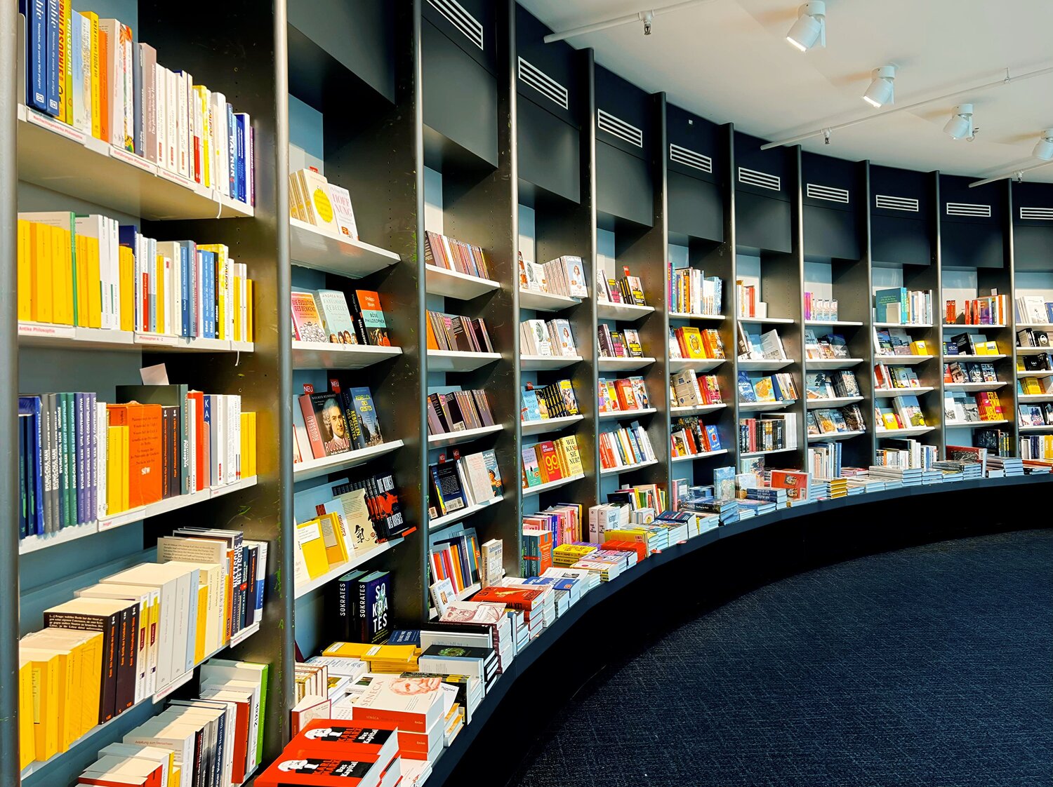 Curvature of Knowledge