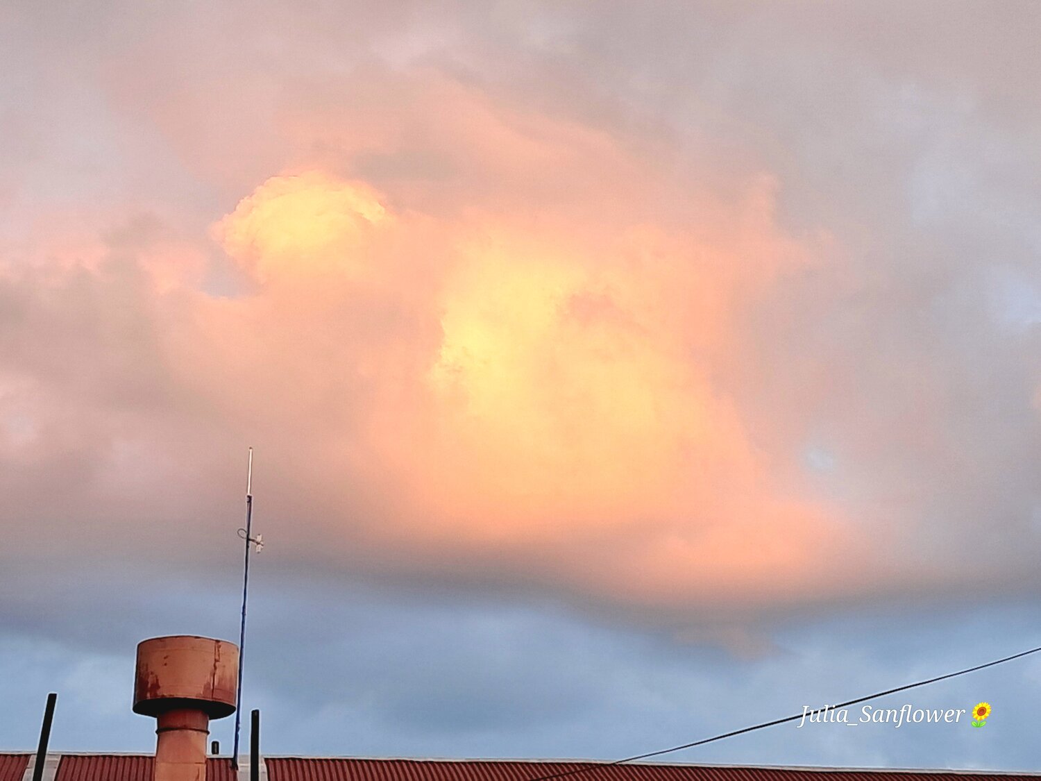 Photo #13846619