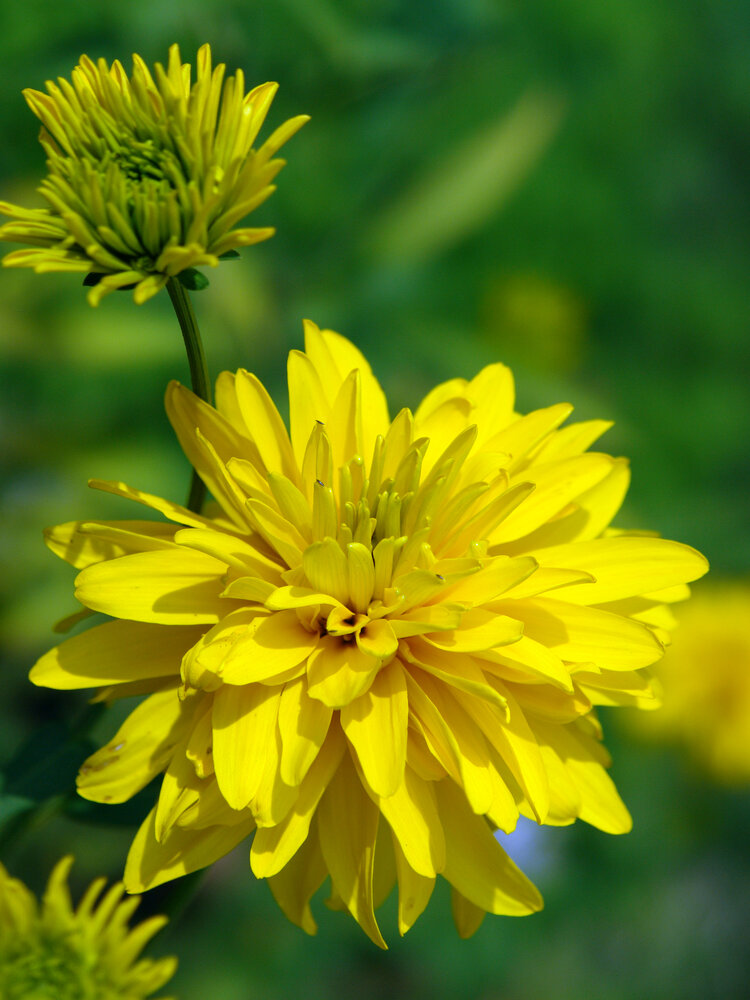 Photograph by Игорь Шевердин