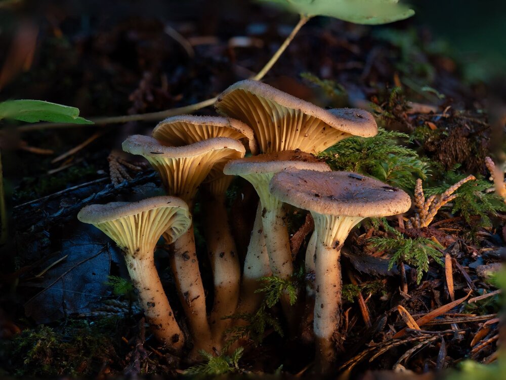 Photograph by Jack Buchanan