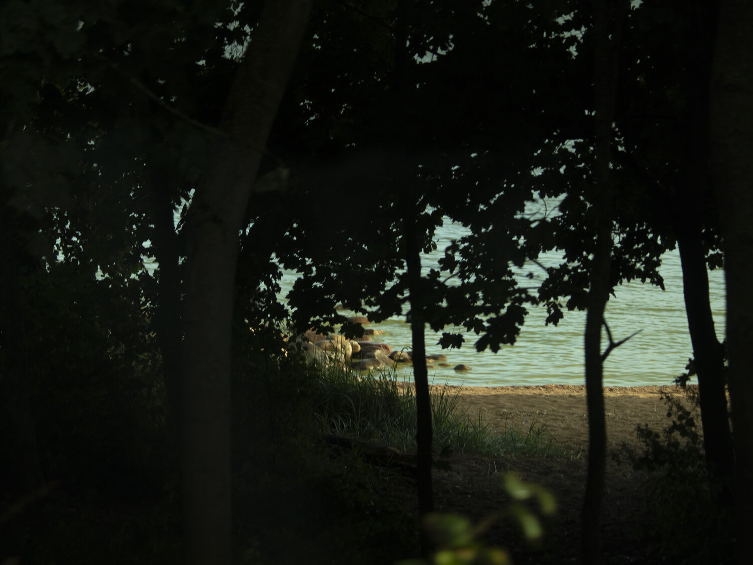 Photo #13846649