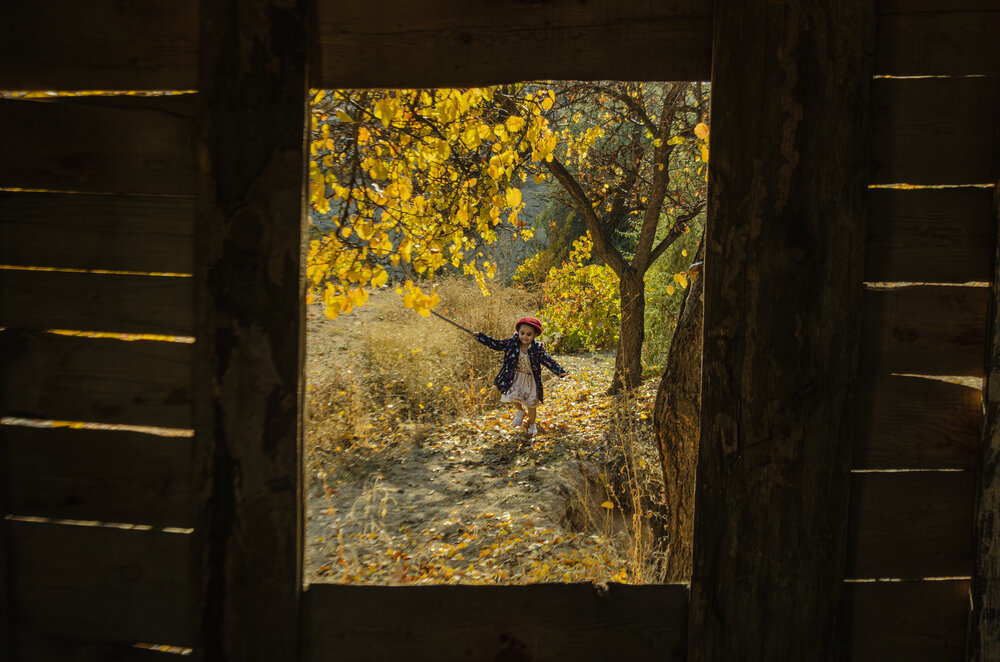 Photograph by MOJDEH NOROUZI