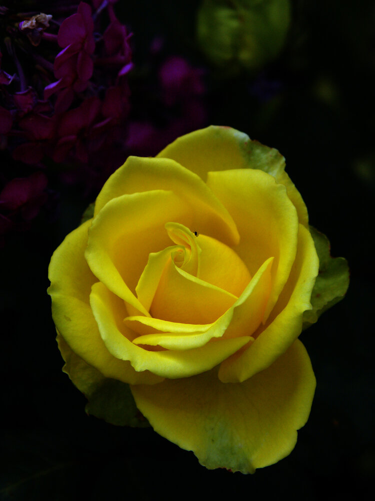 Photograph by Игорь Шевердин