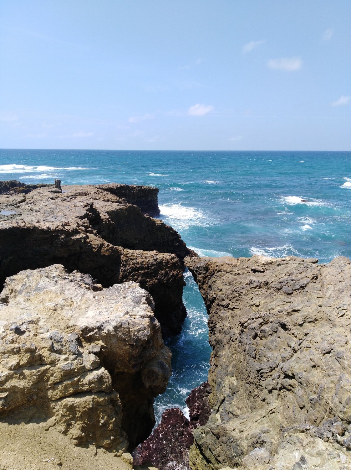 Photo #13846791