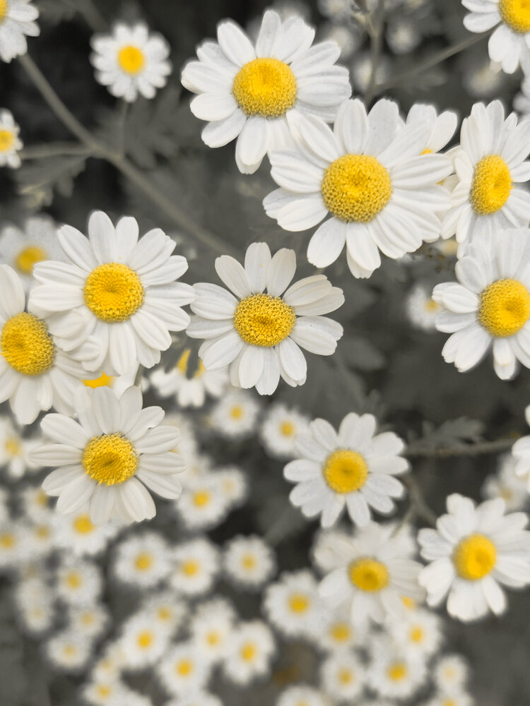 Photograph by Grushko Valeriya