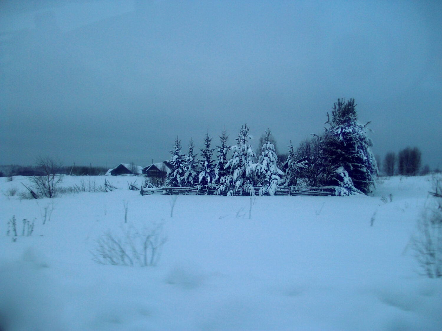 Photo #13846859