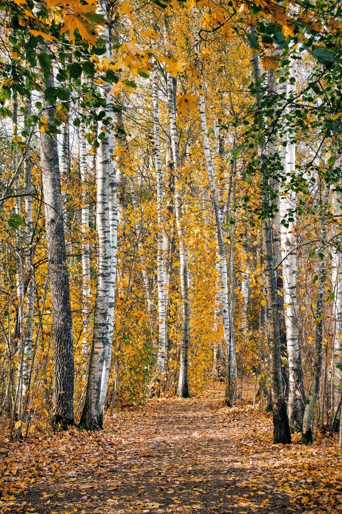 Photograph by Дмитрий Ткаченко