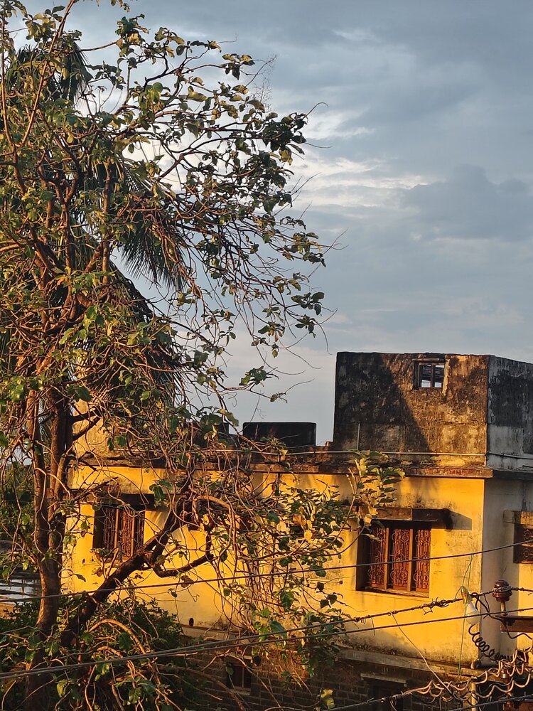 Photograph by Ambika Guttedar