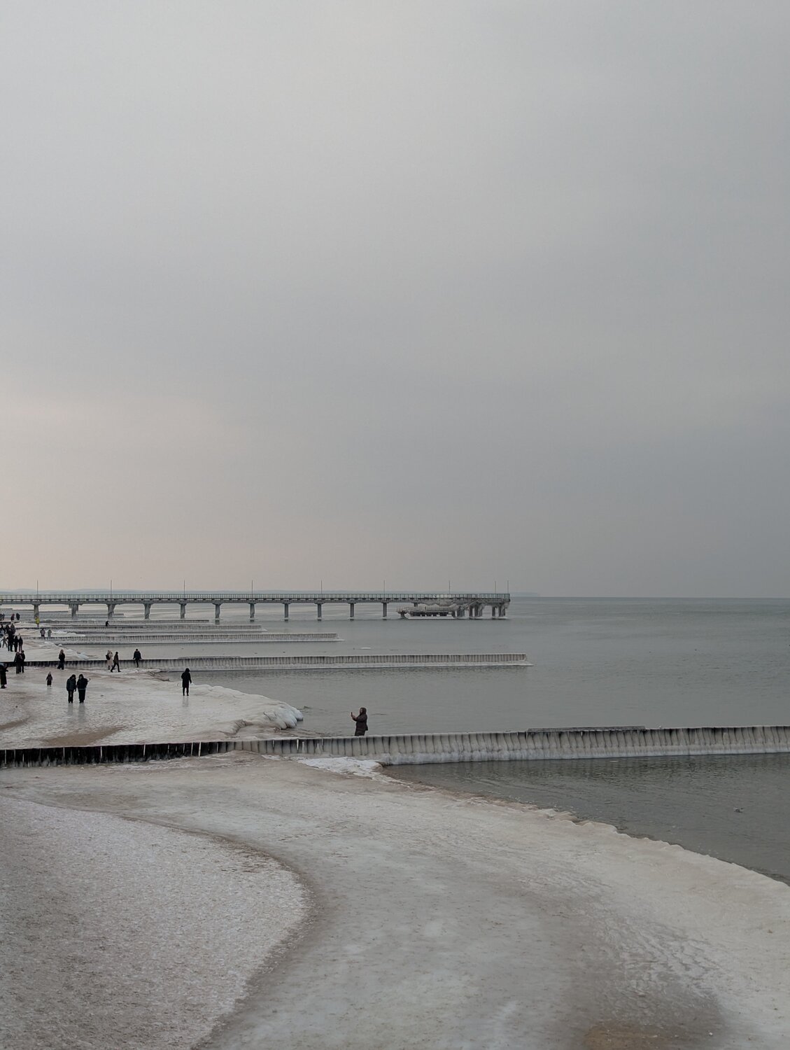 Photo #13847011