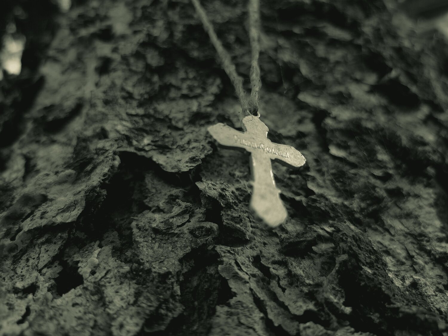 Photo #13847033