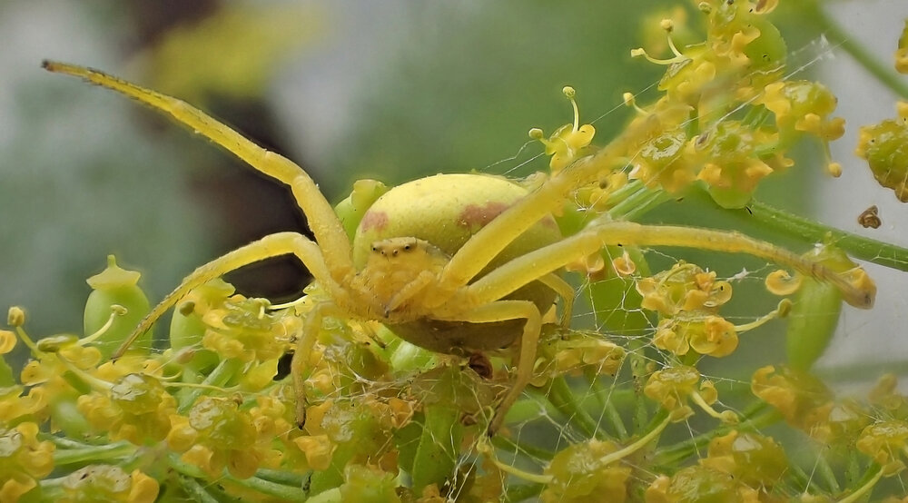 Photograph by Станислав Карташов