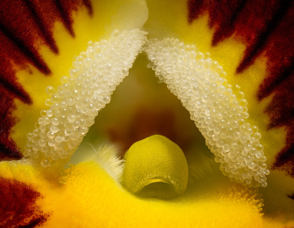 Photograph by Владимир