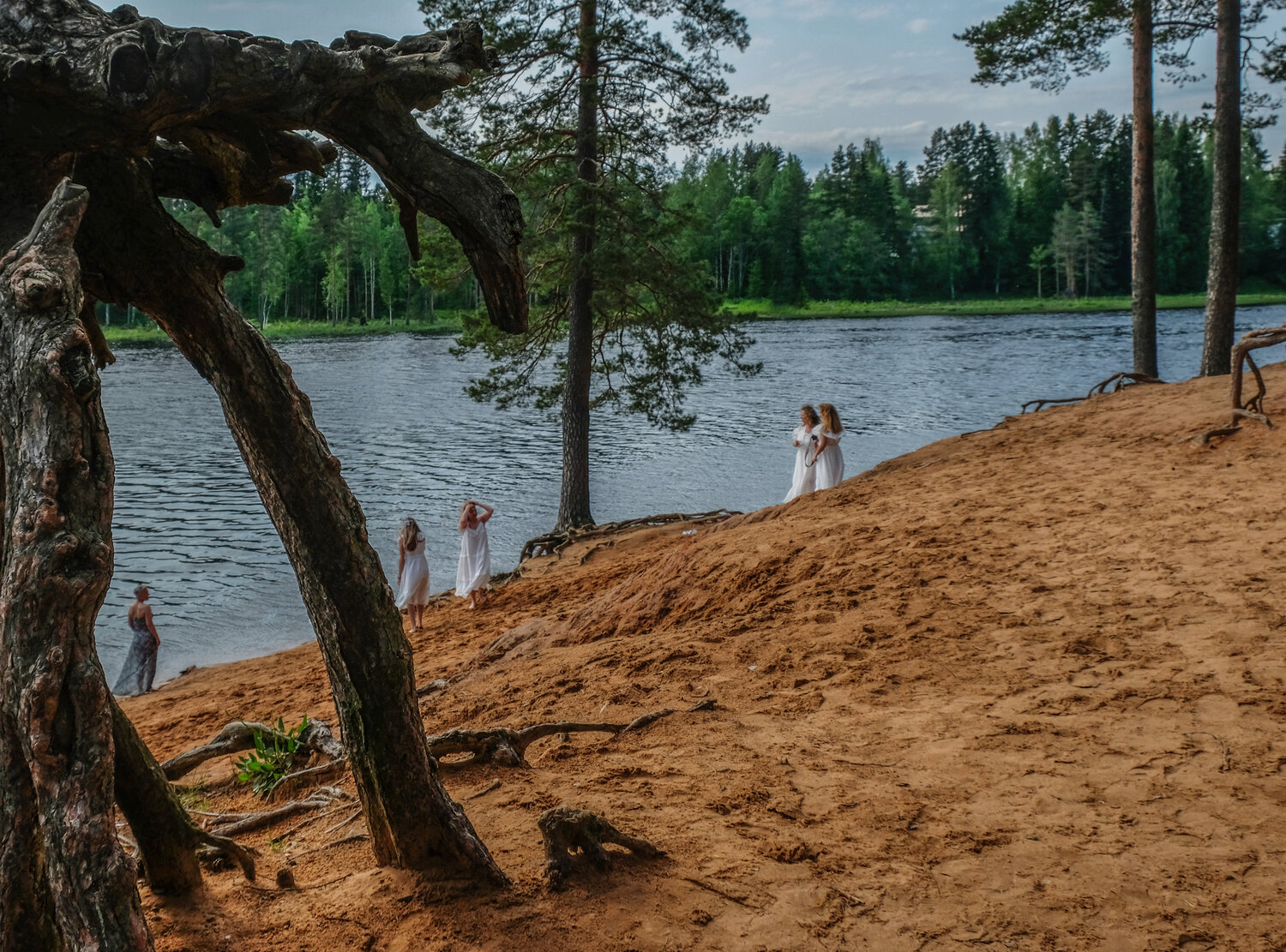 Photo #13847087